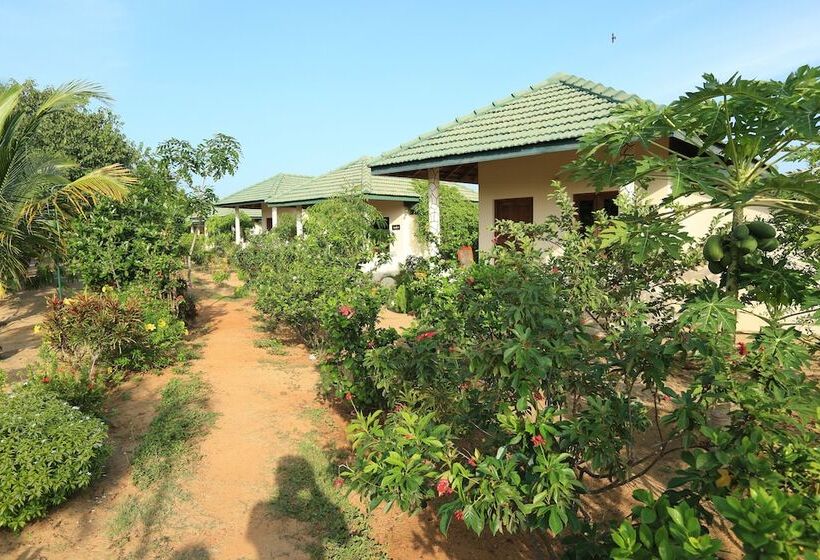 אתר נופש Paper Moon Kudils