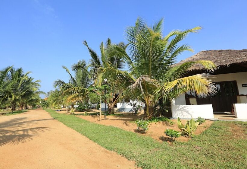 אתר נופש Paper Moon Kudils