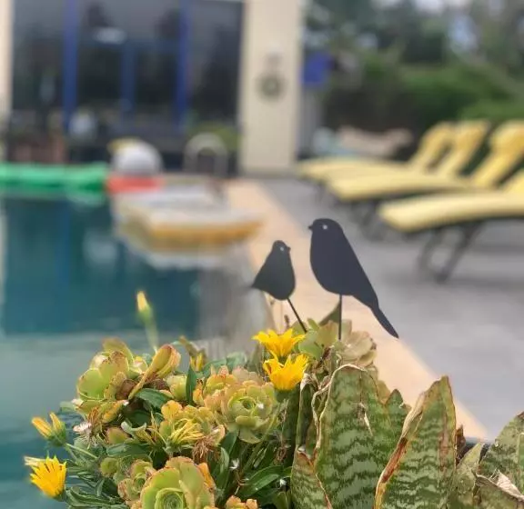 ホテル Auberge Oualidia Dream