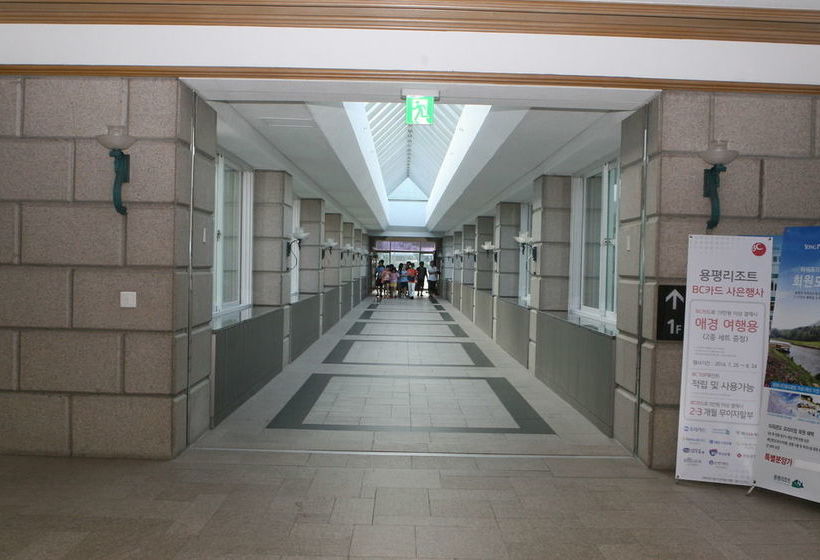 Hotel Mona Yongpyong Tower Condominium