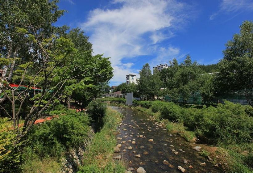 Hotel Mona Yongpyong Tower Condominium