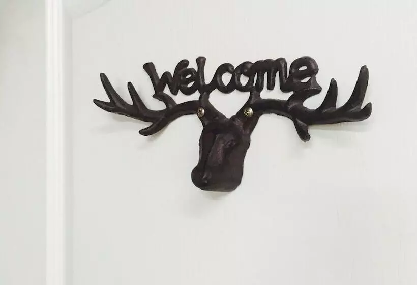 پانسیون 36house