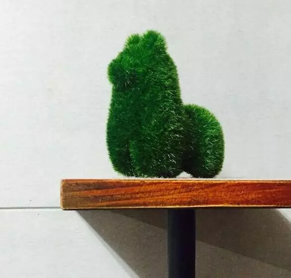 پانسیون 36house