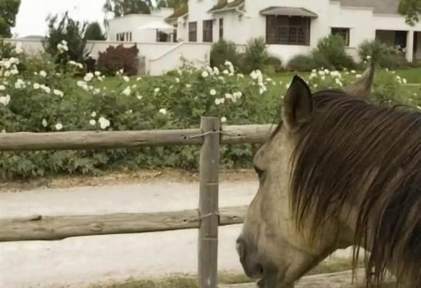 Majatalo Excelsior Manor Guesthouse