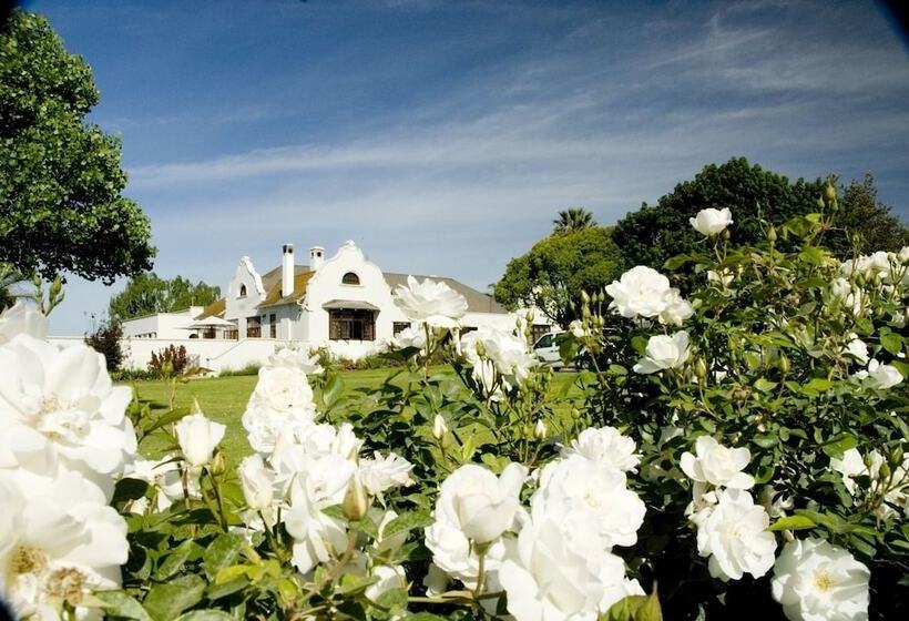 بنسيون Excelsior Manor Guesthouse