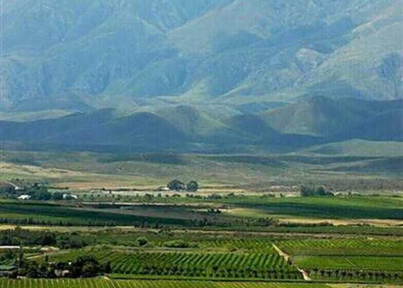 بنسيون Excelsior Manor Guesthouse