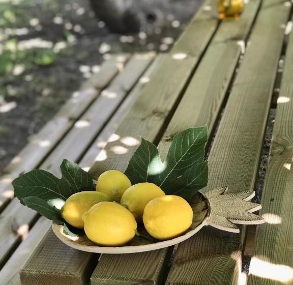 تختخواب و صبحانه Alojamiento Rural Casapiña