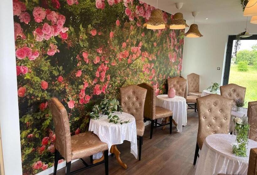 تختخواب و صبحانه Basel Airport Garden