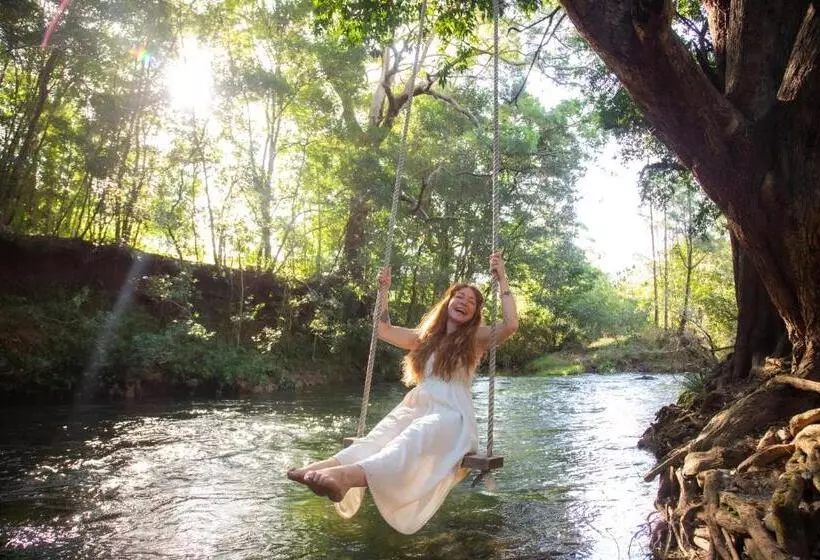 ベッドアンドブレックファースト Evermoore Homestead