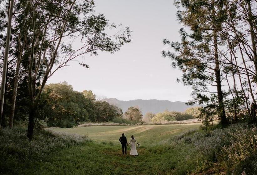 مبيت وإفطار Evermoore Homestead