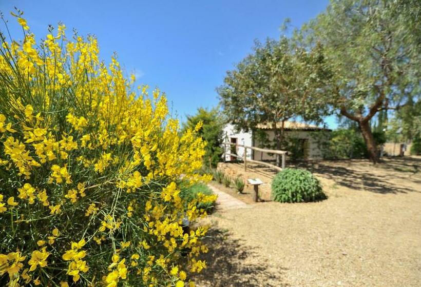 בית מלון כפרי Fratello Agriturismo  La Fattoria Di San Francesco