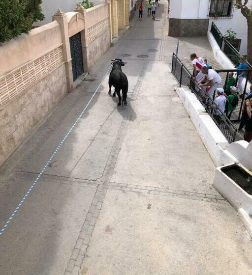 住宿加早餐 Myohanesroadtrip