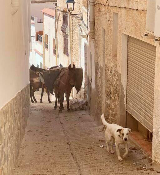住宿加早餐 Myohanesroadtrip