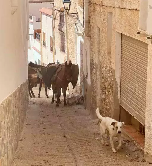 Aamiaismajoitus (B&B) Myohanesroadtrip