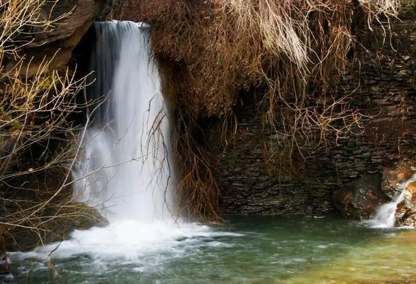 Aamiaismajoitus (B&B) Myohanesroadtrip