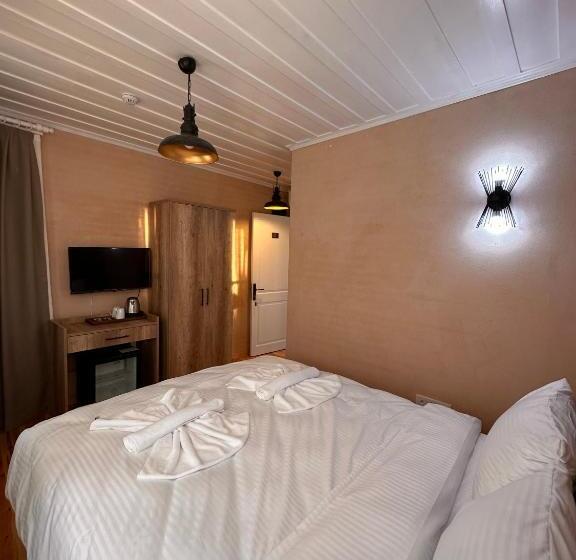 هتل Lovely History