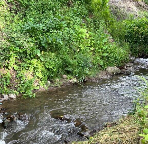 پانسیون Maxim Gorki 36