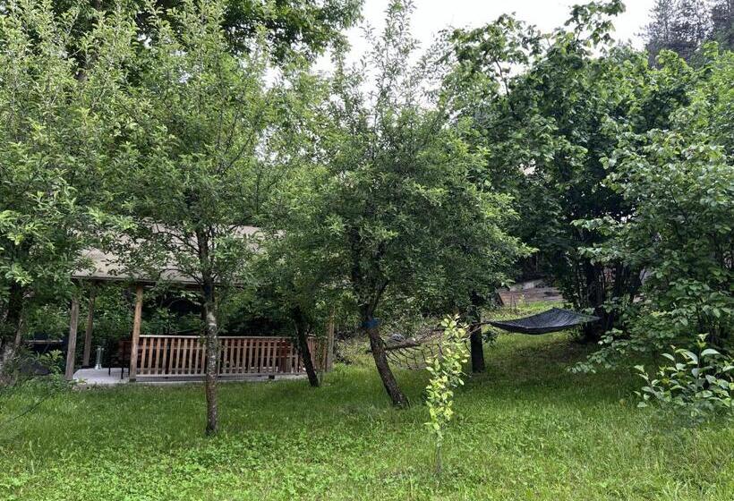 پانسیون Maxim Gorki 36