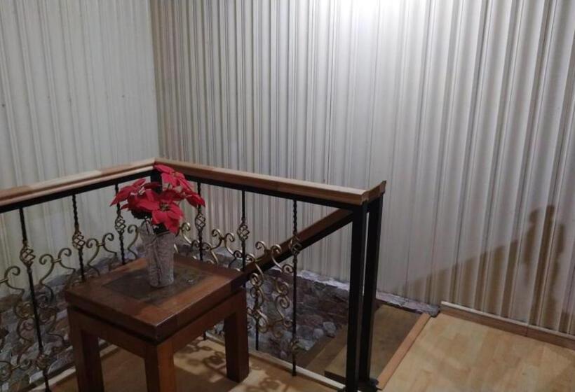 پانسیون Aurora