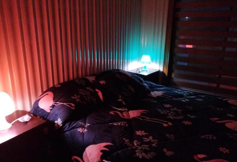 پانسیون Aurora