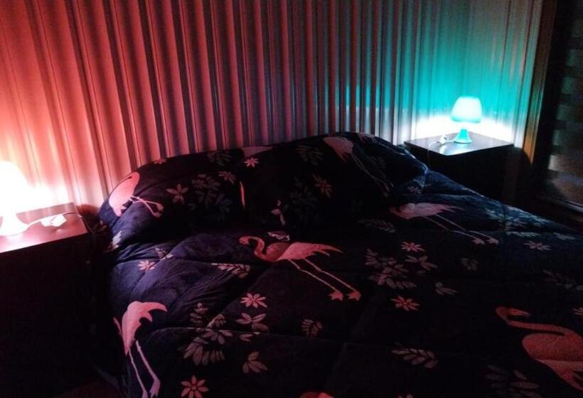 پانسیون Aurora