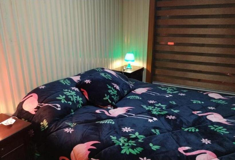 پانسیون Aurora