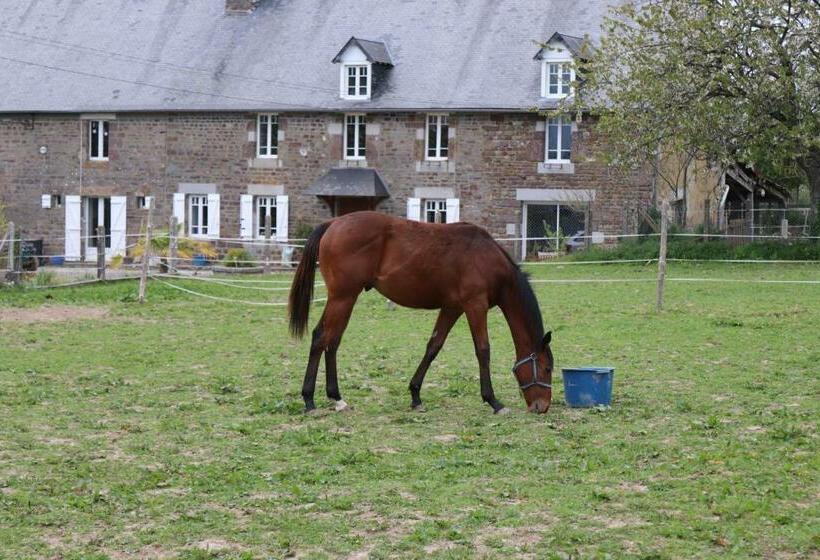 צימר Découverte D Un Haras Proche Du Mont St Michel