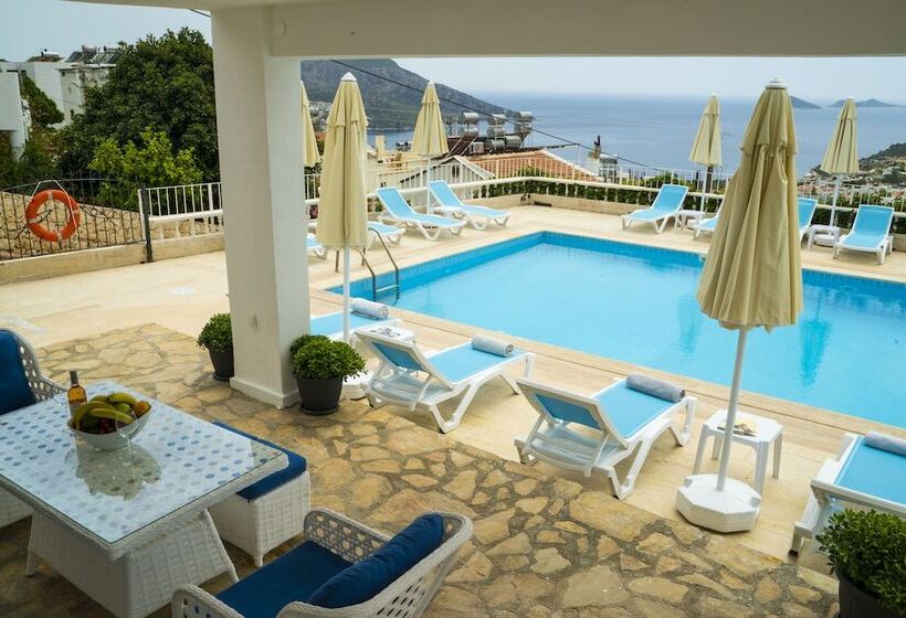 تختخواب و صبحانه Marquis Blue