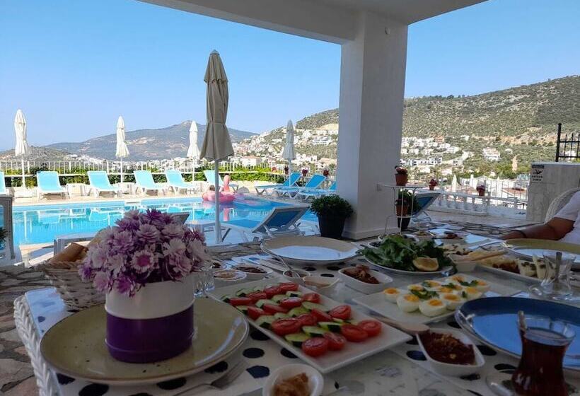 تختخواب و صبحانه Marquis Blue