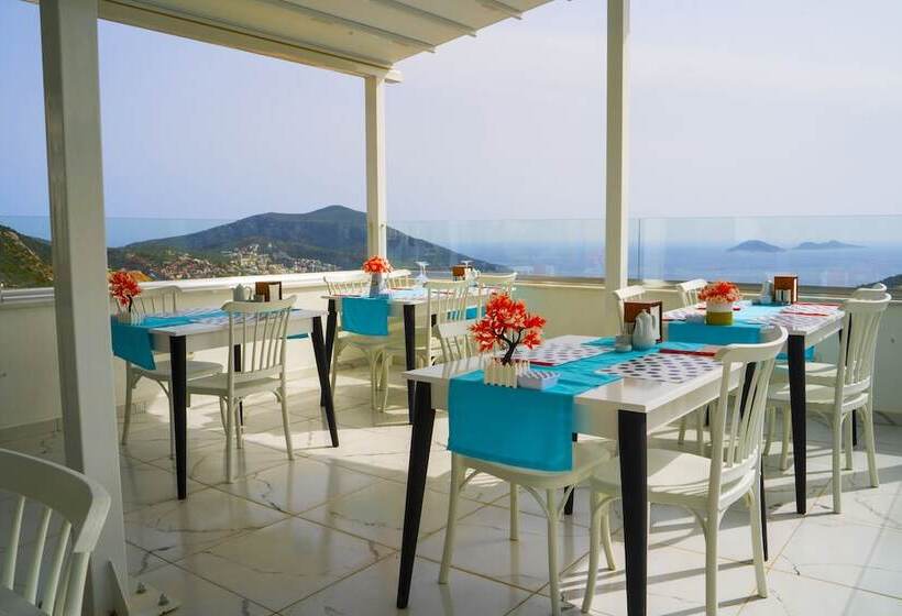 تختخواب و صبحانه Marquis Blue