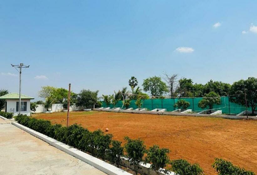 渡假胜地  The Mountain View