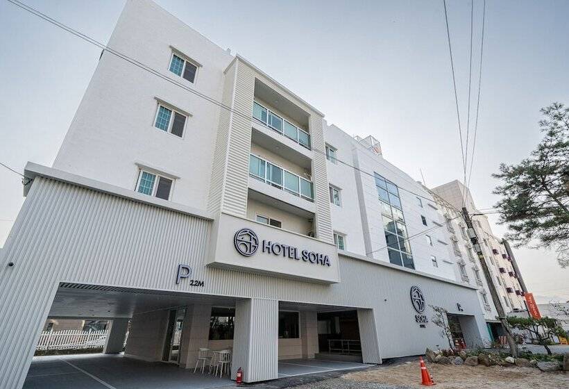 Hotel Soha