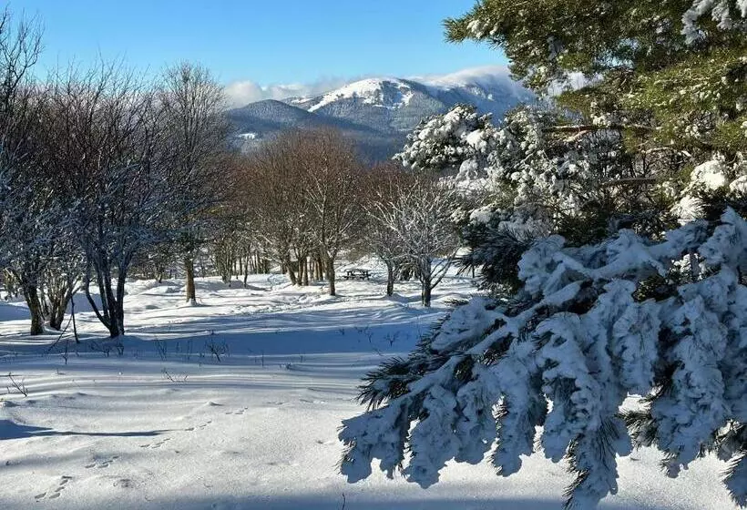 Aamiaismajoitus (B&B) Chalet La Petite Ourse