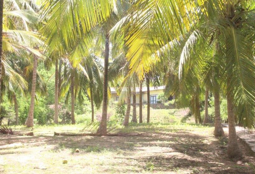 مبيت وإفطار Runaway Beach Villa