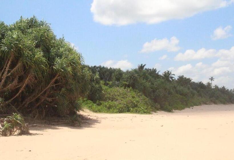 مبيت وإفطار Runaway Beach Villa