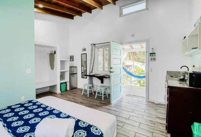 Hotelli Dv 3 At Dv Cabanas Gold Standard Certified