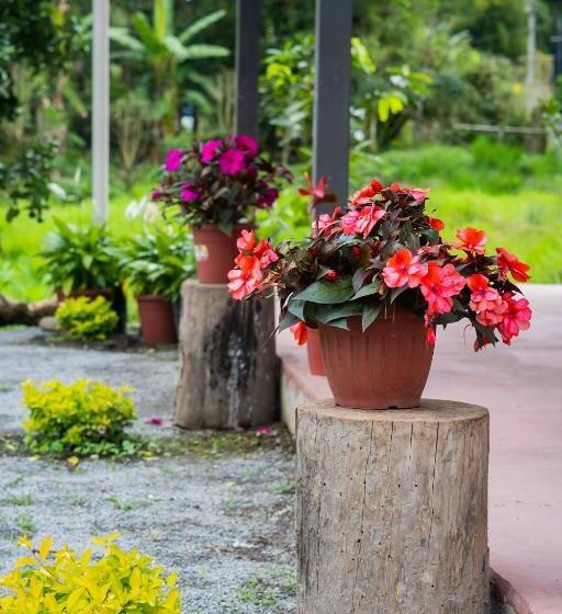 פנסיון Brisas Del Río