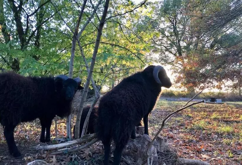 ベッドアンドブレックファースト Domaine Bourgade
