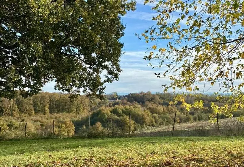 ベッドアンドブレックファースト Domaine Bourgade