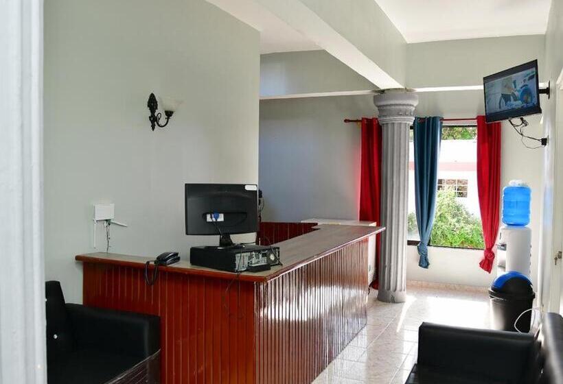 هاستل Freedom Nagua