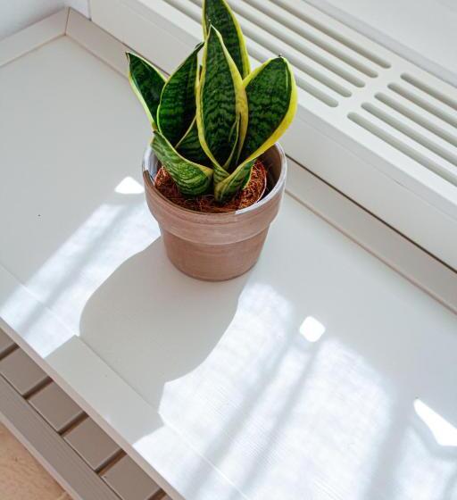 צימר Agrosilente