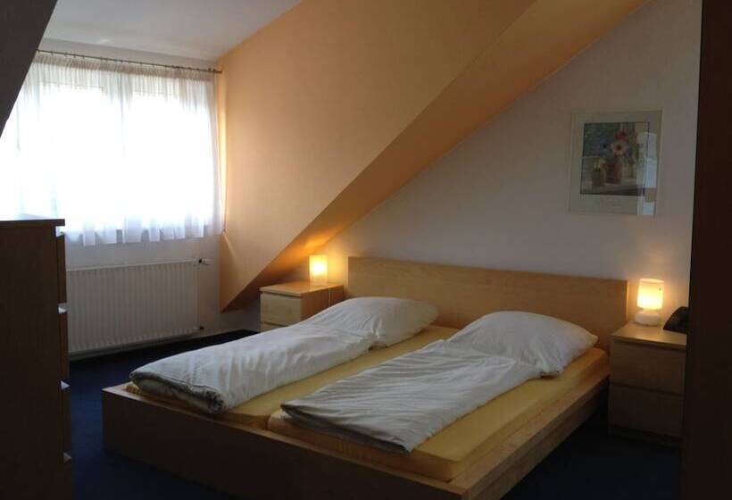 酒店 Apartmenthaus Somborn