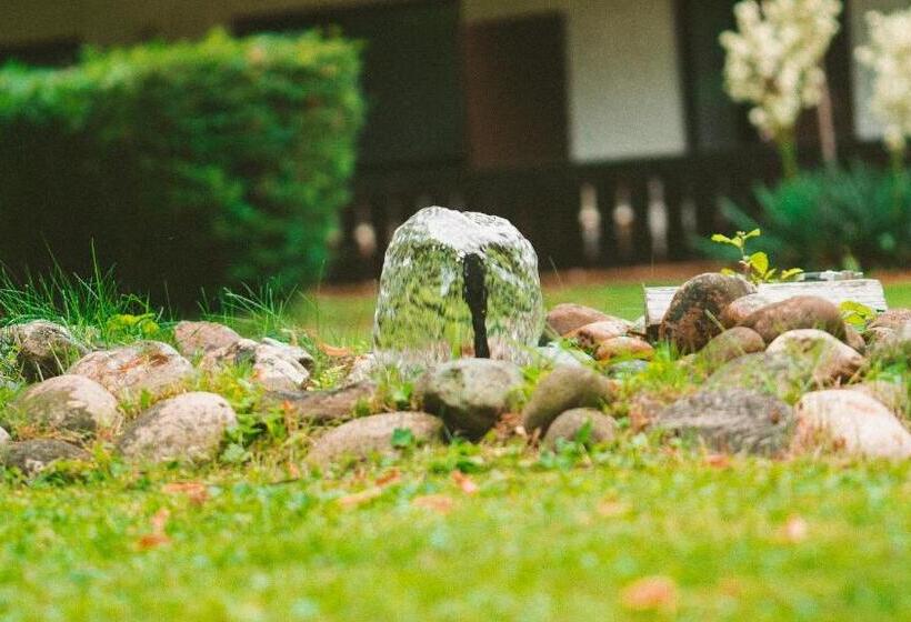 هتل Büchner Garni