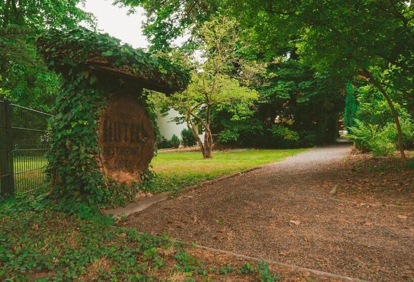 هتل Büchner Garni