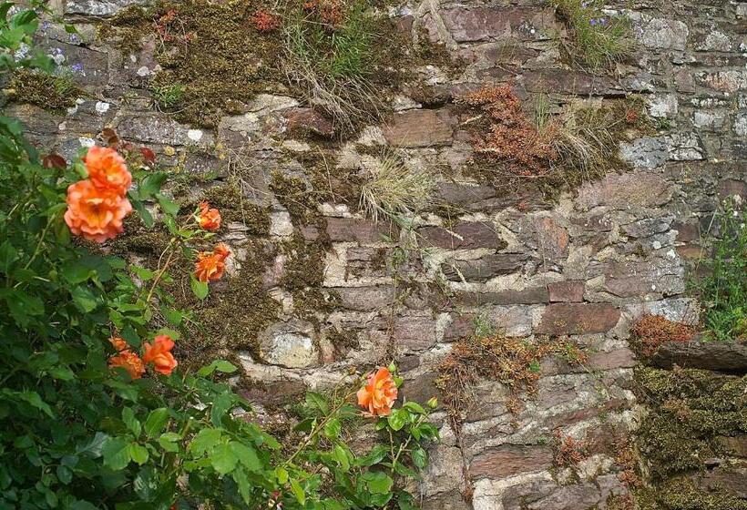 בית מלון כפרי Burg Arras