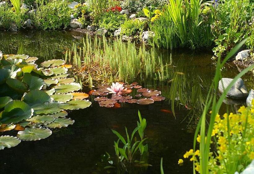 בית מלון כפרי Burg Arras