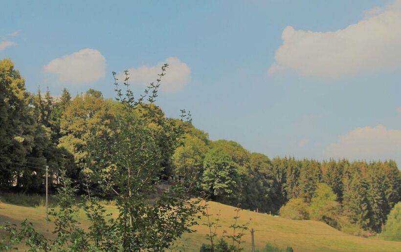 Отель Finkenberg