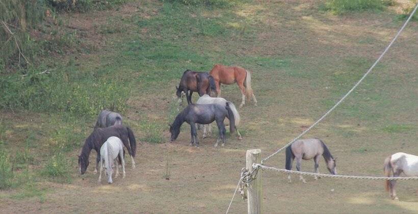 Отель Finkenberg