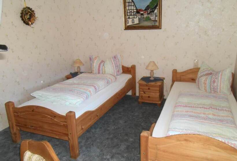 Отель Finkenberg