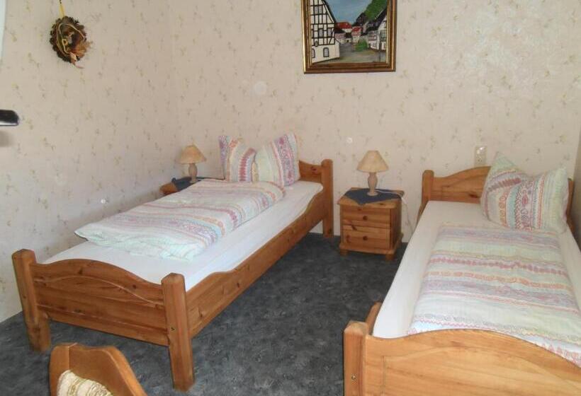 Отель Finkenberg